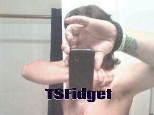 TSFidget