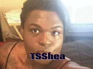 TS_Shea