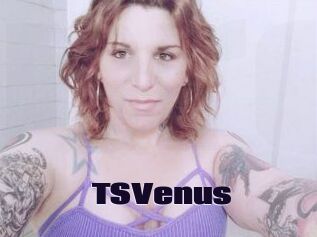 TS_Venus