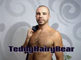 TeddyHairyBear