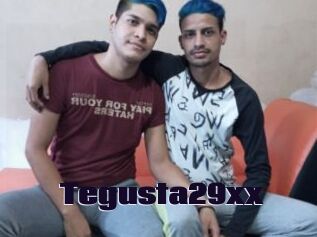 Tegusta29xx