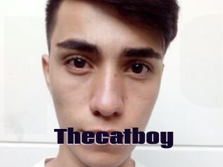 Thecatboy