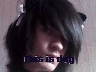 This_is_dog