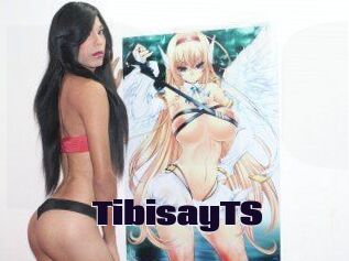 TibisayTS