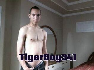 TigerBoy341