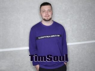 TimSoul