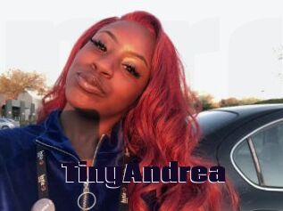 TinyAndrea