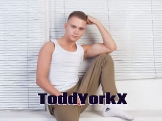 ToddYorkX