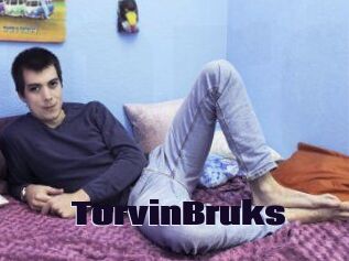 TorvinBruks