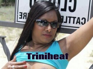 Triniheat