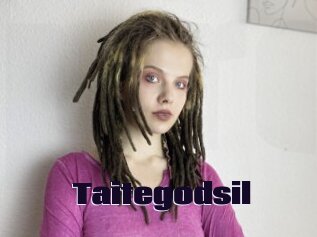 Taitegodsil