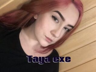 Taya_exe