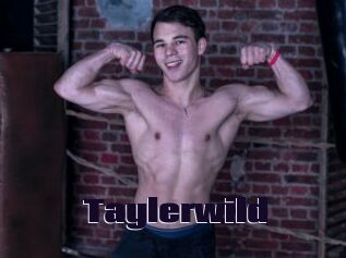 Taylerwild