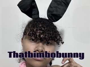 Thatbimbobunny