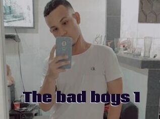 The_bad_boys_1