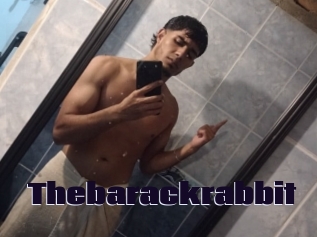 Thebarackrabbit