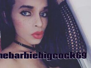 Thebarbiebigcock69