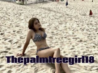 Thepalmtreegirl18