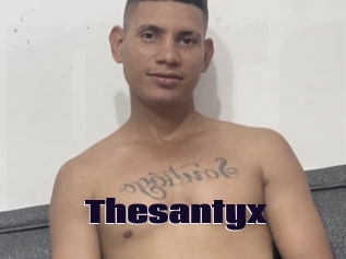 Thesantyx