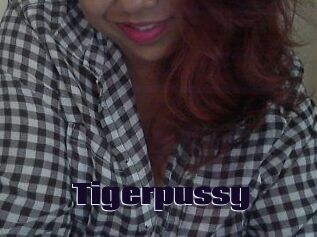 Tigerpussy