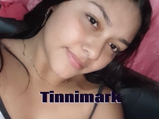 Tinnimark