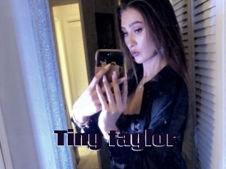 Tiny_taylor