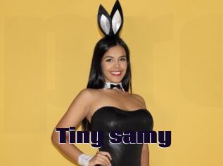 Tiny_samy