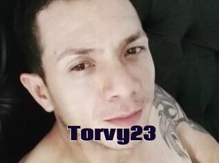 Torvy23