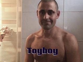 toyboy Prolap Sex