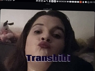 Transbibi