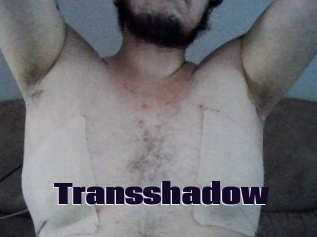 Transshadow