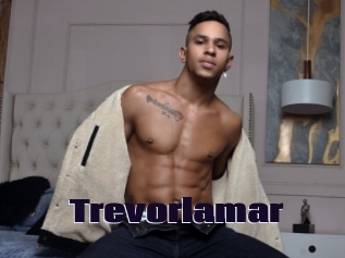 Trevorlamar
