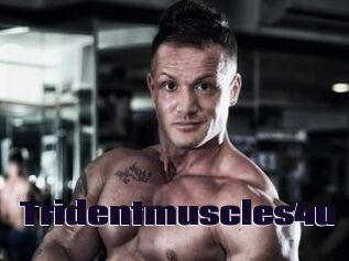 Tridentmuscles4u