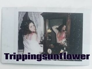 Trippingsunflower