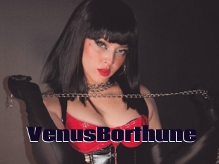 VenusBorthune