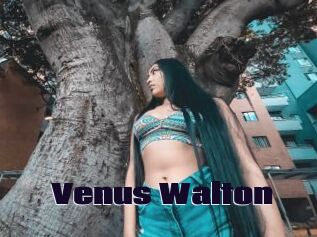 Venus_Walton