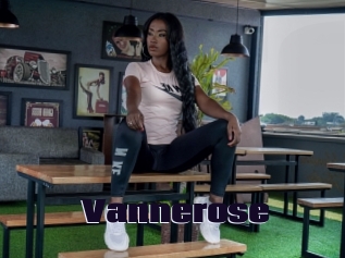 vannerose Prolap Sex
