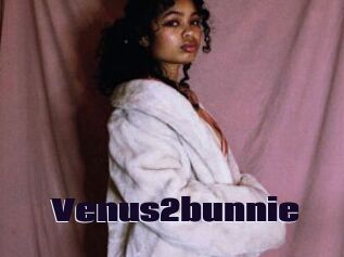 Venus2bunnie