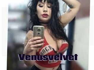 Venusvelvet
