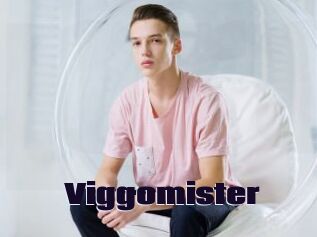 Viggomister