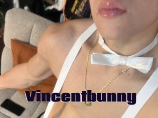 Vincentbunny