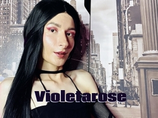 Violetarose