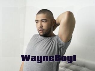 WayneBoyI