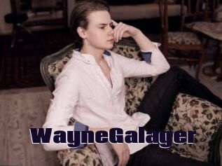 WayneGalager