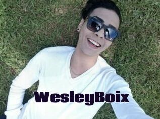 Wesley_Boix