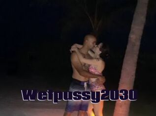 Wetpussy2030