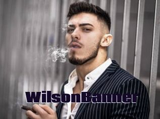 WilsonBanner Prolap Sex