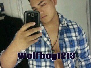 Wolfboy1213