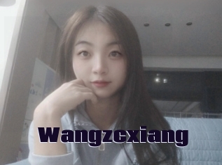 Wangzcxiang
