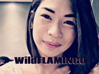 WildFLAMINGO
